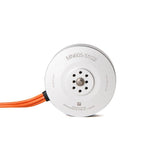MN605-S (Set of 2)